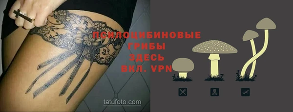 кокс Арсеньев