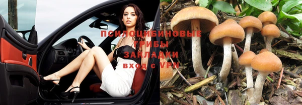 метадон Аркадак