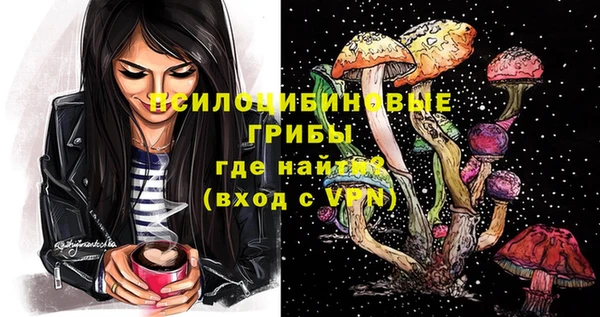 кокс Арсеньев
