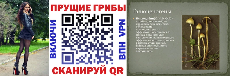 блэк спрут ТОР  Нытва  Галлюциногенные грибы прущие грибы  купить наркотик 
